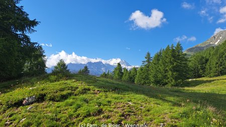 07-11_Moosalp(2042m)-Törblitälli (2577m)